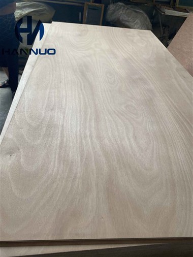 100 אחוז Okoume ימית דיקט